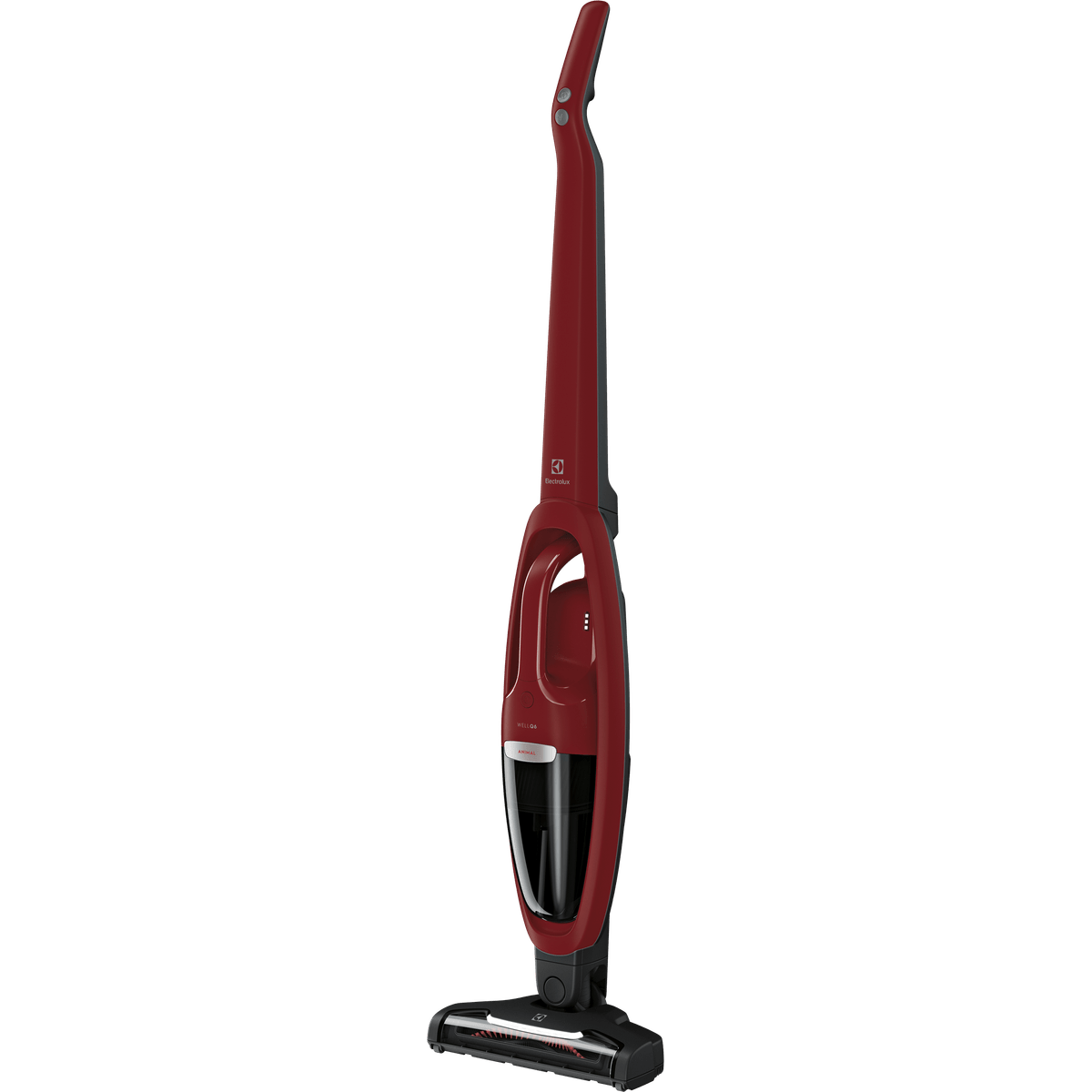 aspiradora-ergorapido-well-q6-animal-electrolux--erg36--_Detalle1