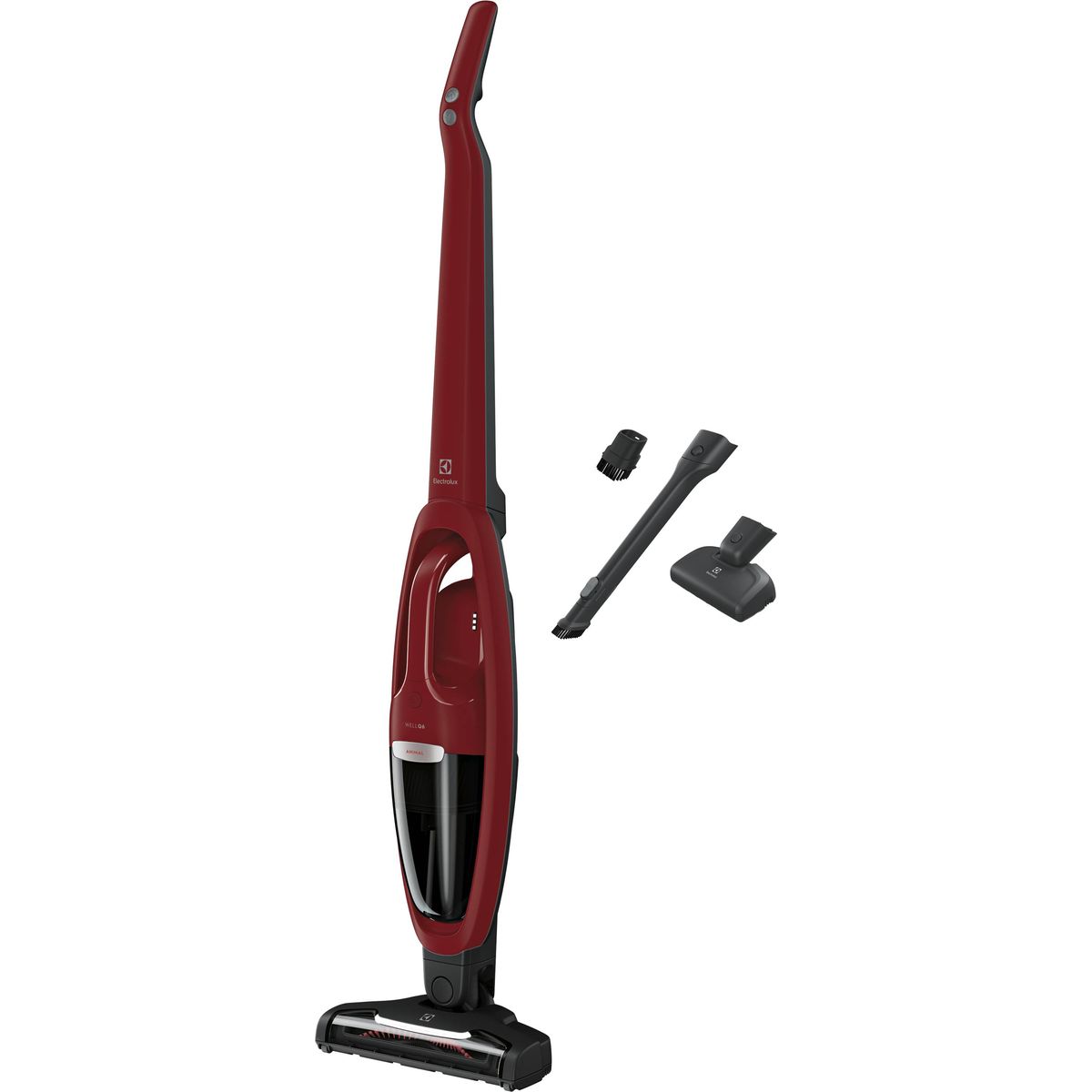 aspiradora-ergorapido-well-q6-animal-electrolux--erg36--_Detalle2