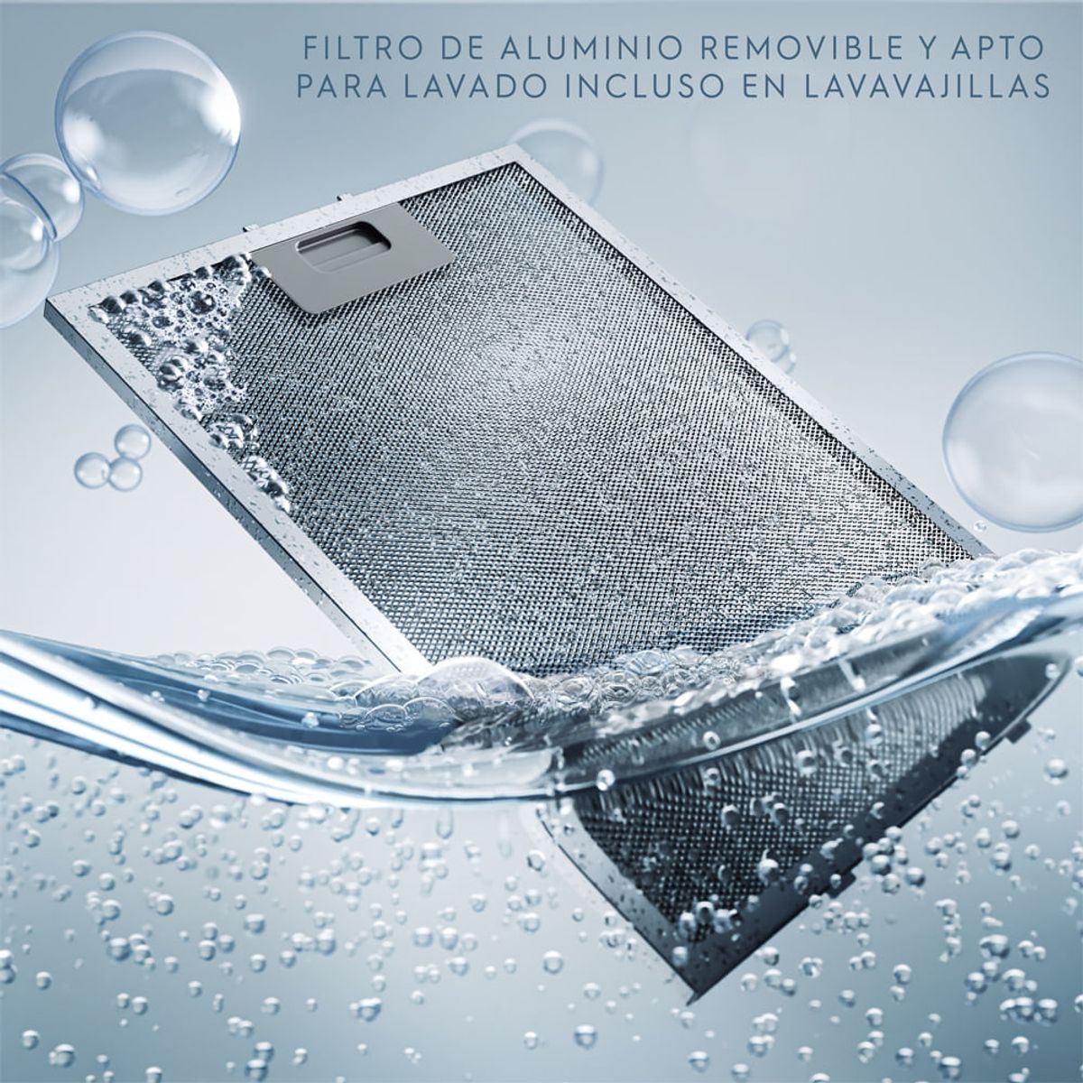 RemovableFilter--Electrolux-Spanish