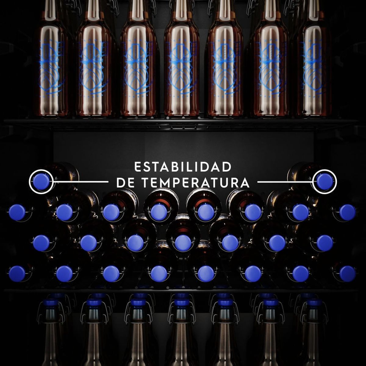 BeerCooler-Feature-Temperature-Electrolux-Spanish-1000x1000
