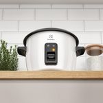 RiceCooker_RCB50_ConcepView_Electrolux_Andinos_1000x1000-1000x1000.raw.jpg