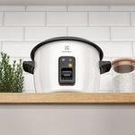 RiceCooker_RCB50_ConcepView_Electrolux_Andinos_1000x1000-1000x1000.raw.jpg