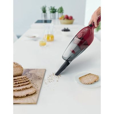 Vacuum_Cleaner_STK13_UnidadeMao_Electrolux-500x500