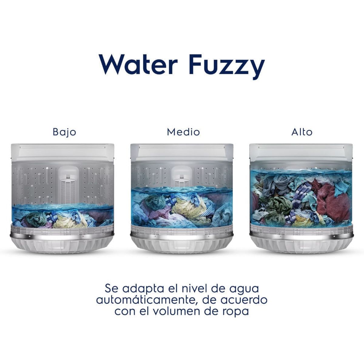 Novo-Projeto--31-