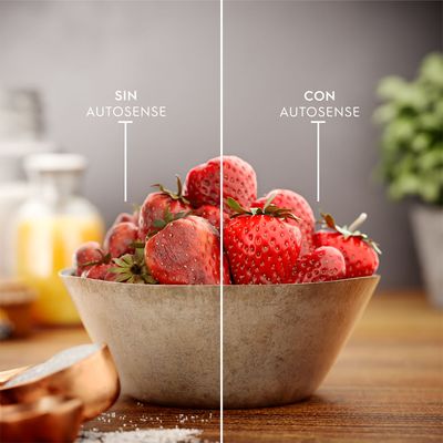 Refrigerator_Autosense_Electrolux_Spanish-1000x1000.raw