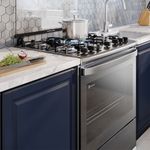 Cooker_F5ETG_Kitchen_5_mouths_Square_Electrolux_Spanish-1000x1000.raw